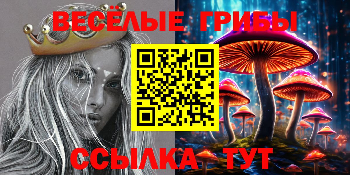 Новосибирск  Псилоцибиновые грибы Magic Shrooms  Вход с VPN 